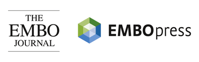 EMBO Journal